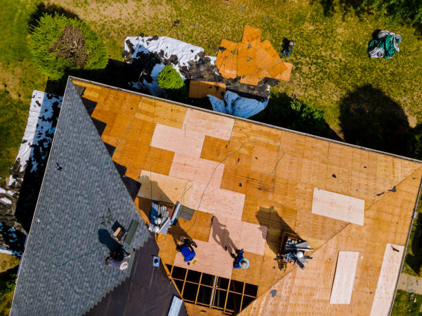 Best Metal Roofing Contractor  in Starkville, MS