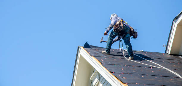 Best Roof Gutter Cleaning  in Starkville, MS